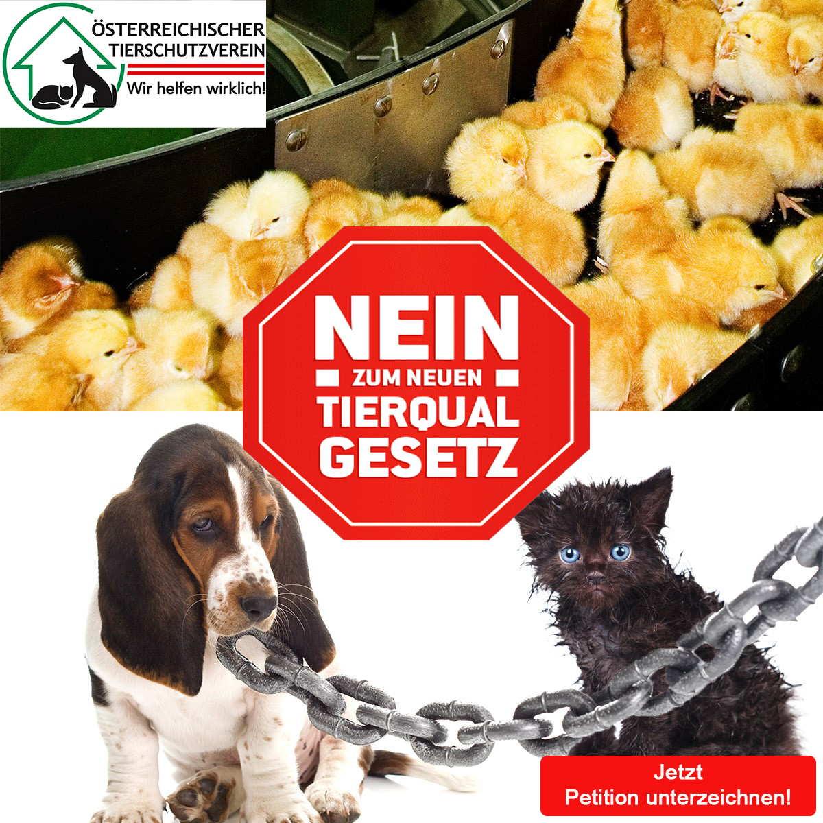 Demonstration gegen TierQUALgesetz