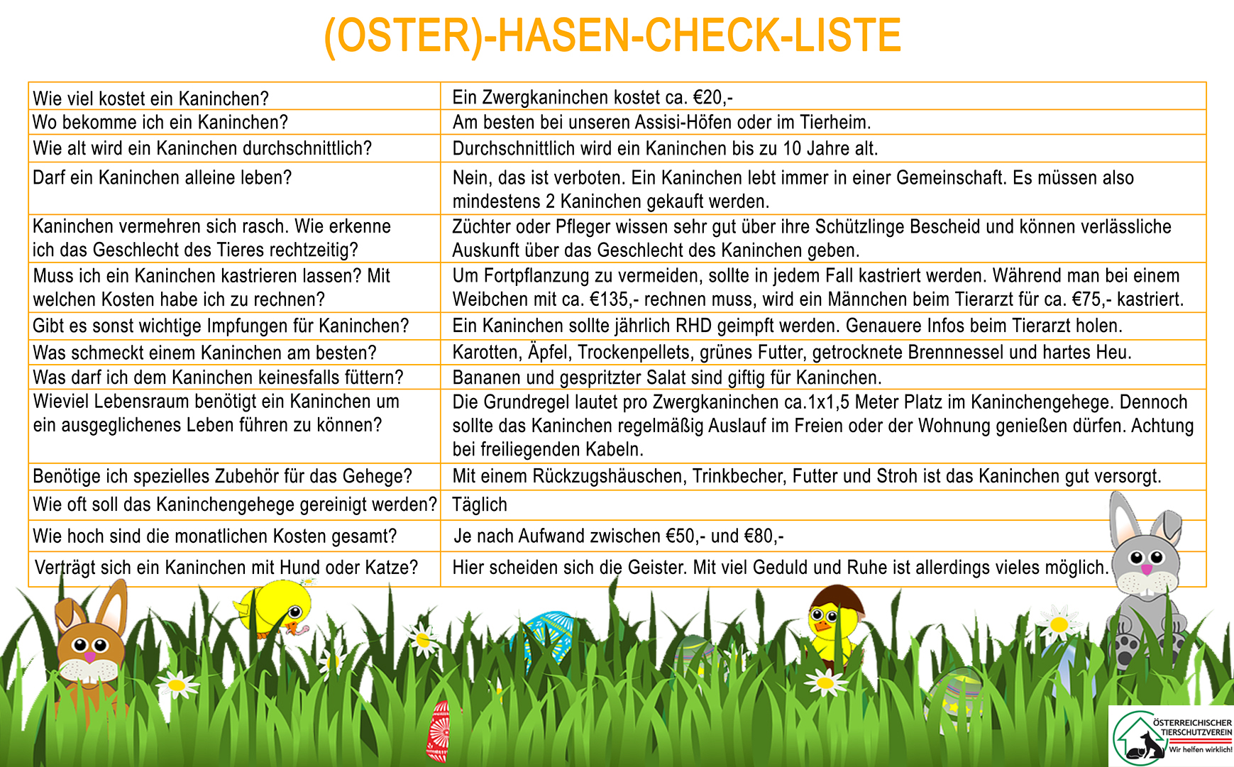 Checkliste für die (Oster)-Hasenhaltung