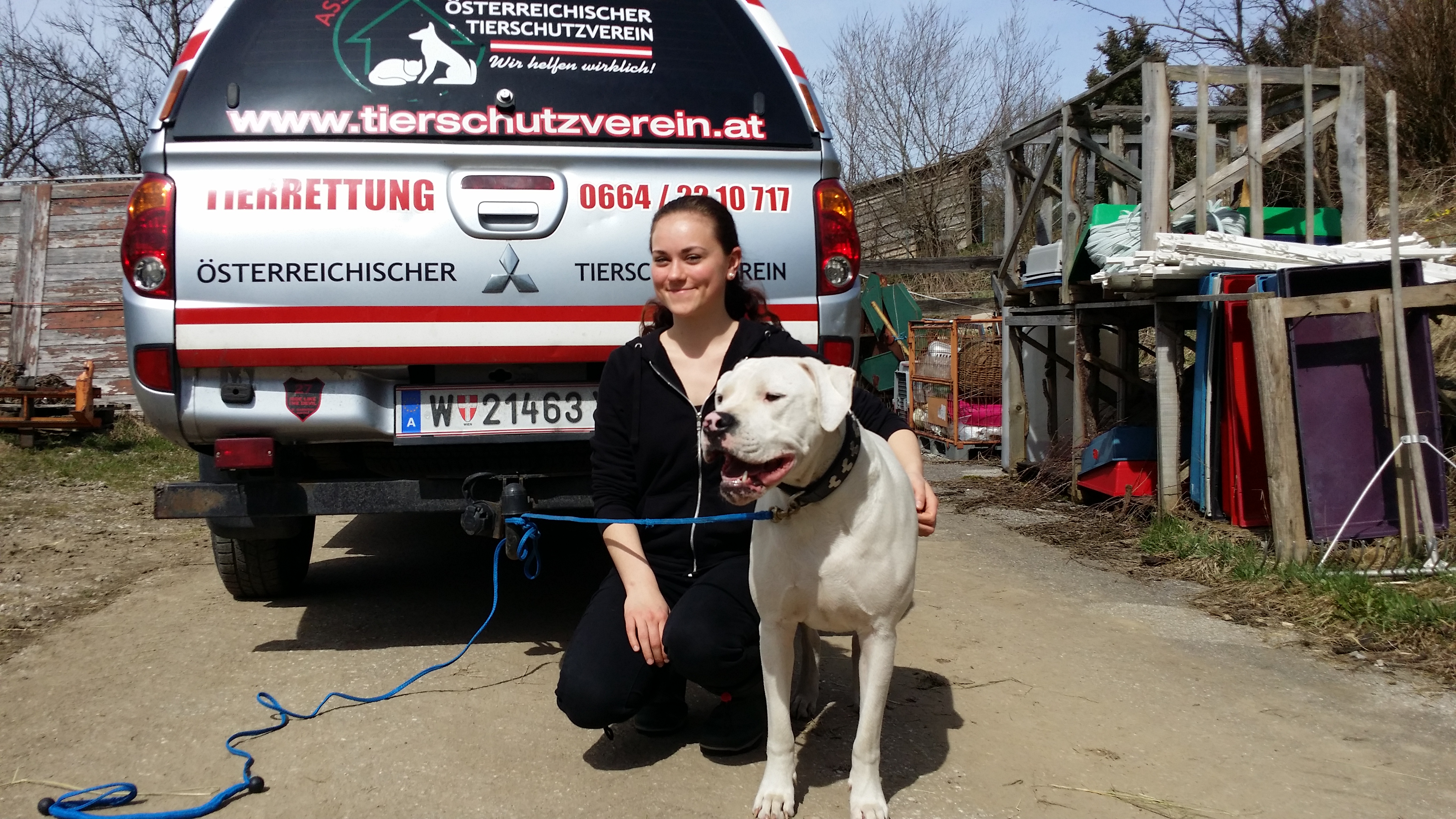 Fundhund: Dogo Argentino