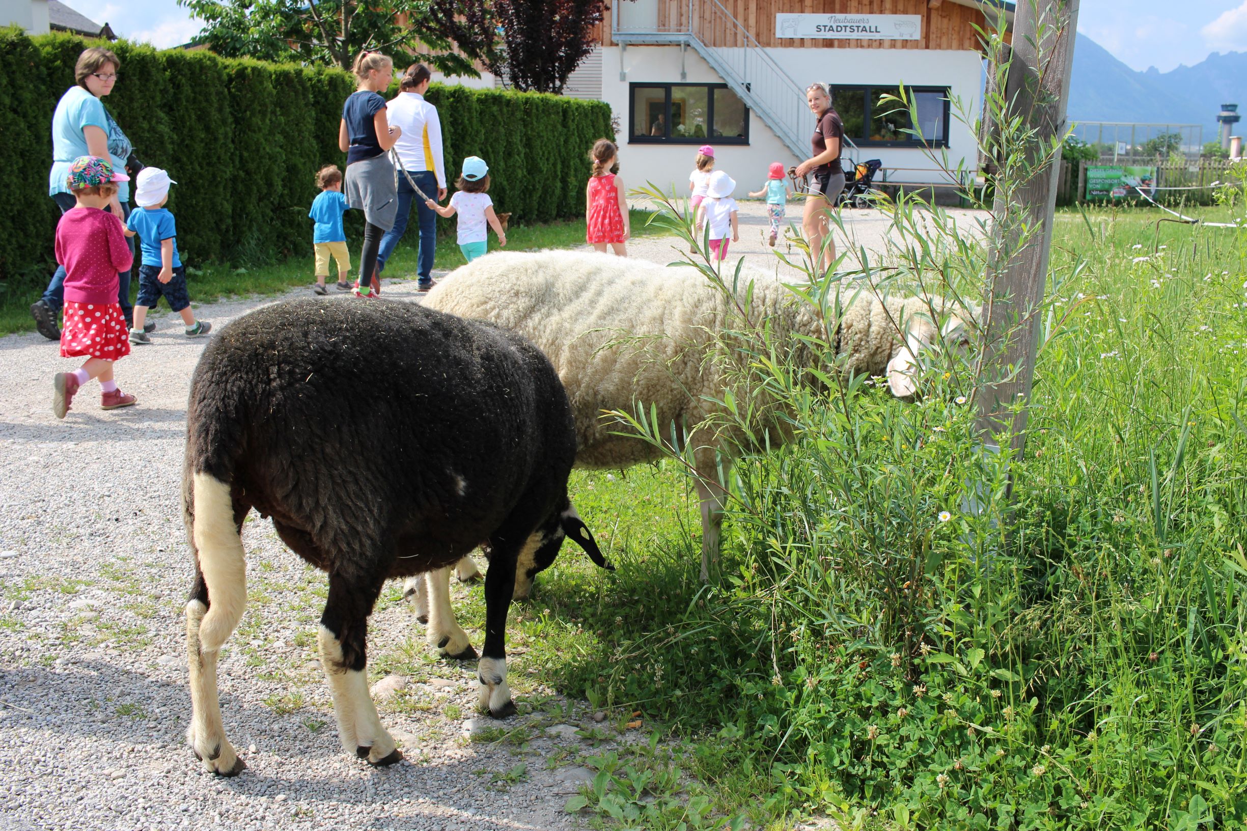 ÖTV ermöglicht Kinder-Tier-Projekt „Stadtstall“