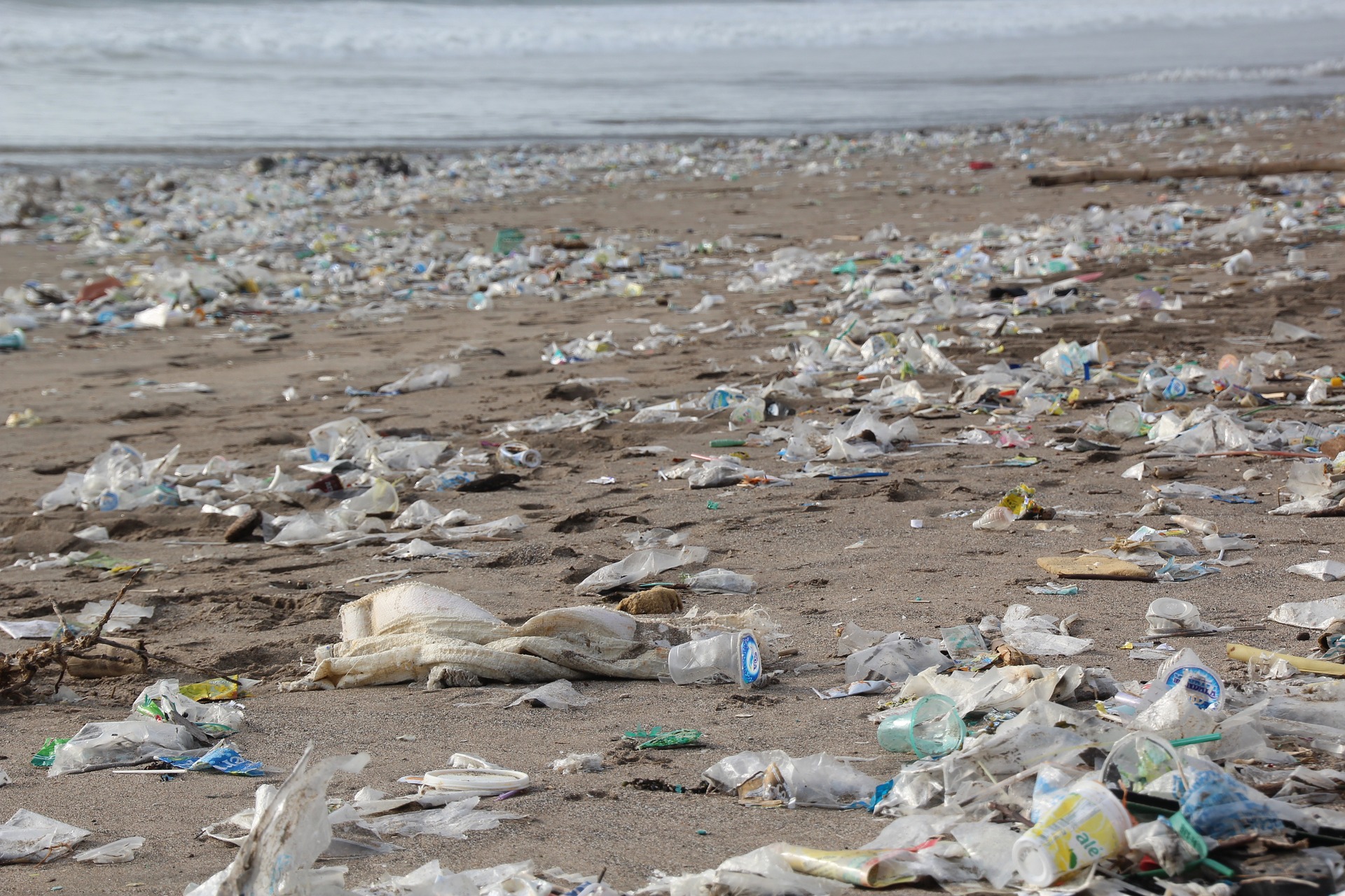 Tag der Ozeane: Unsere Meere ersticken in Plastik