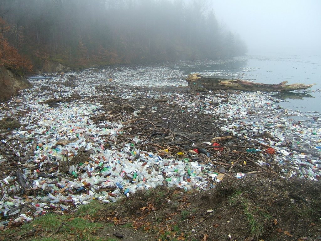 Plastik an unseren Stränden