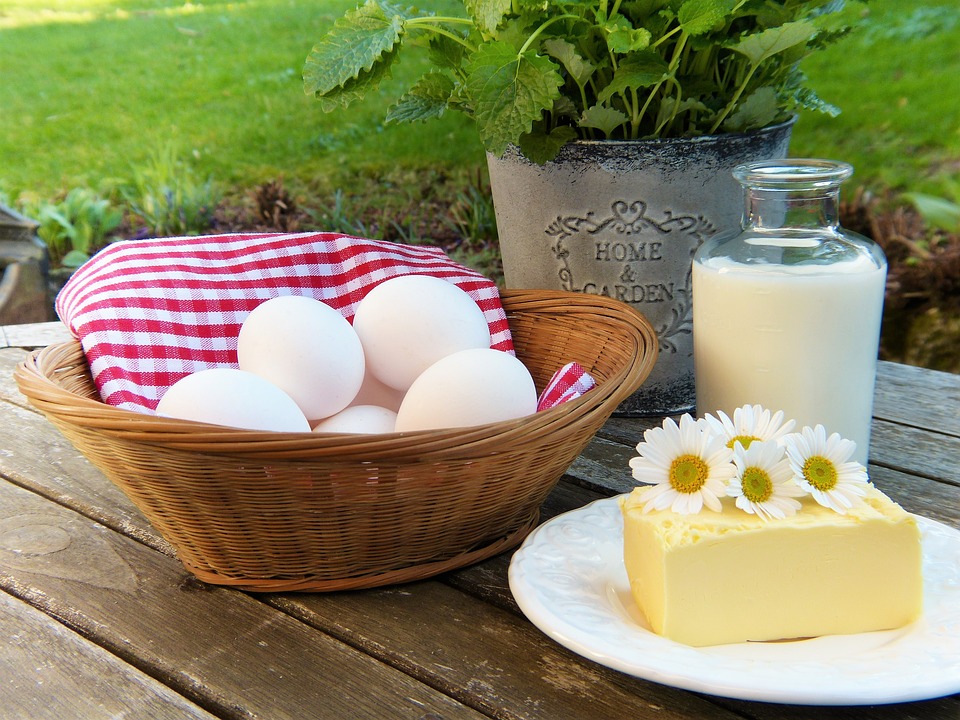 Bio-Siegel und Gütezeichen für Fleisch, Eier und Milch – kostenlosen Ratgeber anfordern