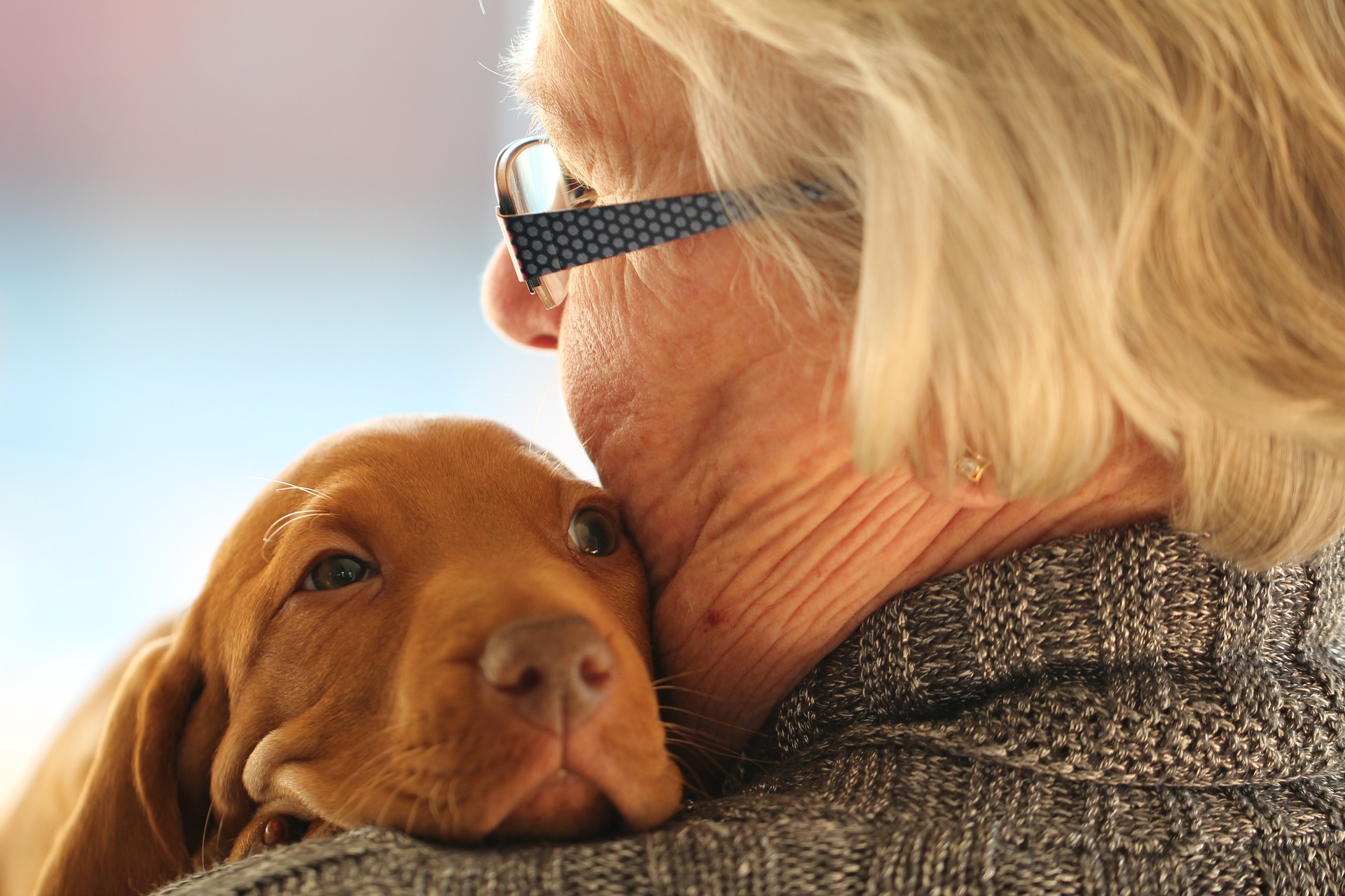 Welthundetag: Hundehalter leben länger