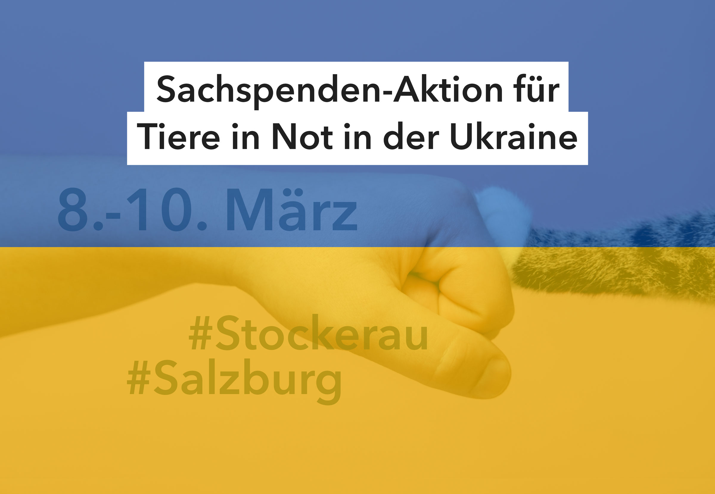 Sachspenden-Aktion für Tiere in Not in der Ukraine